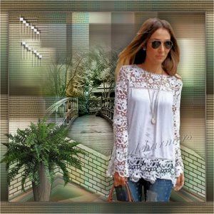 Embroidery Lace Crochet Chiffon Top